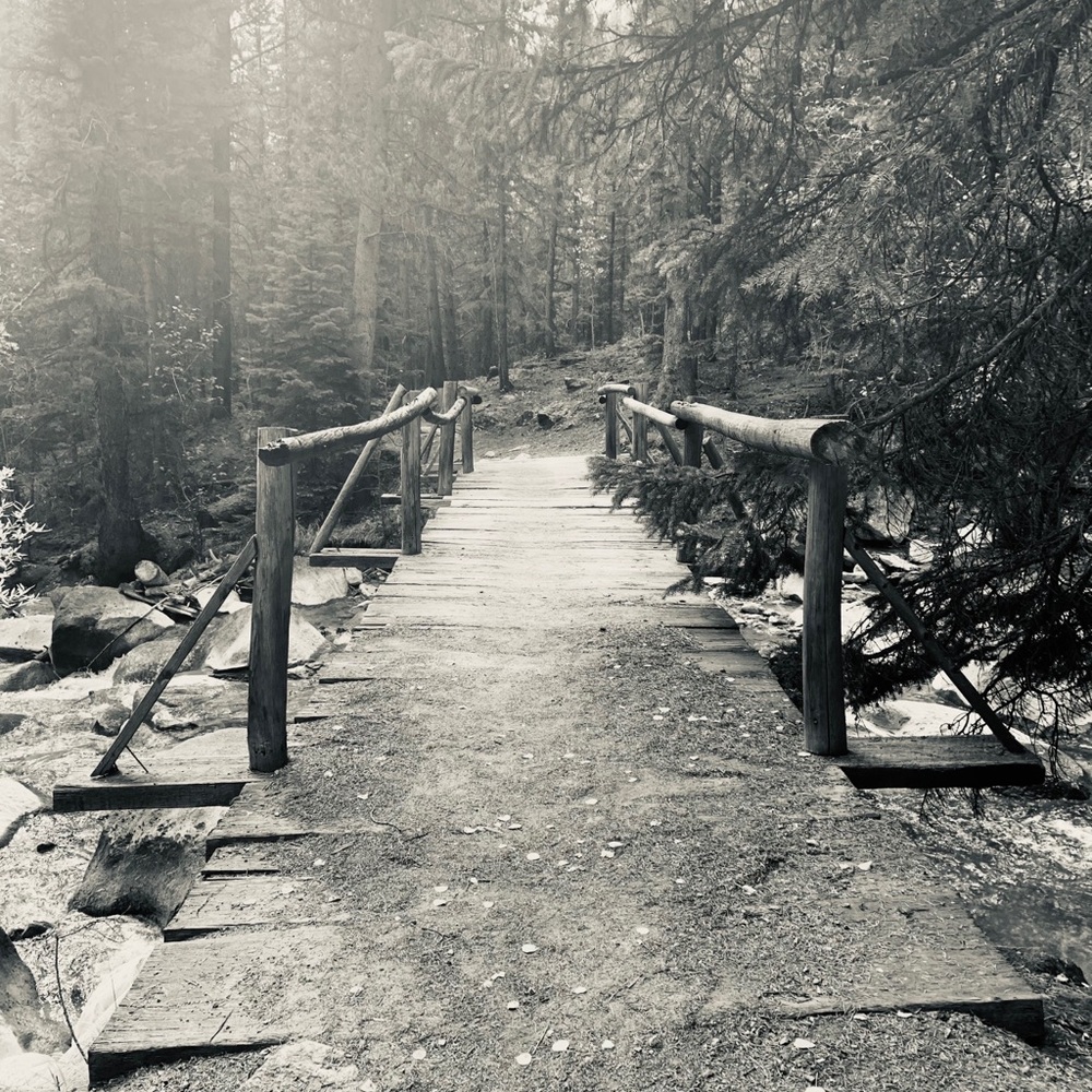 Meet your Posher, Riley